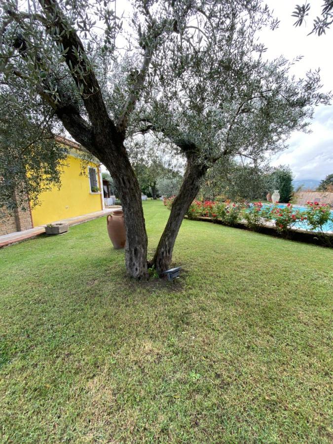 Villa "Casa Al Chiazzullo" Mirabella Eclano Exteriér fotografie
